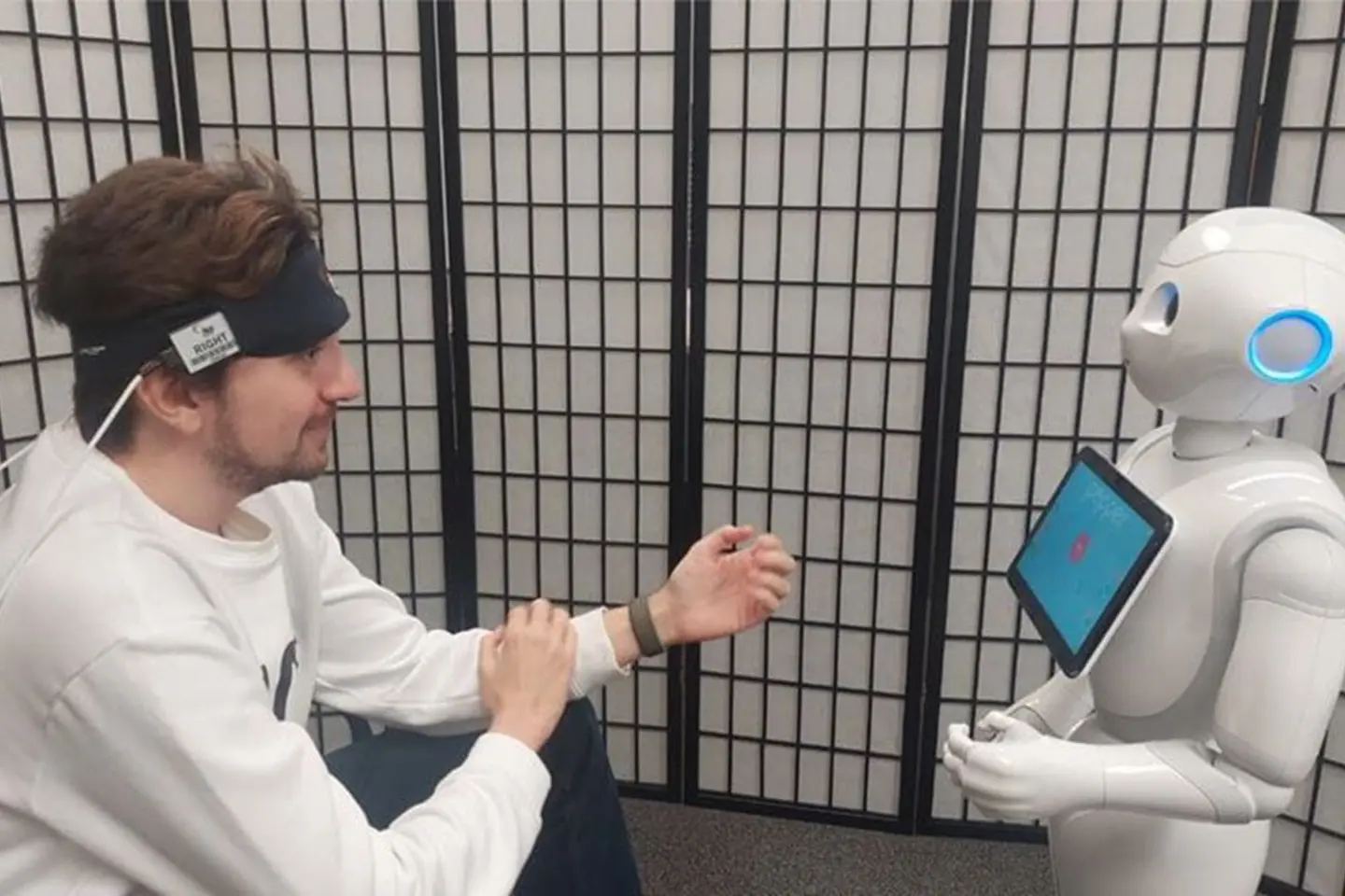 Участник исследования общается с социальным роботом Pepper